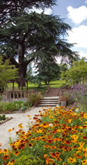 LOcal Park